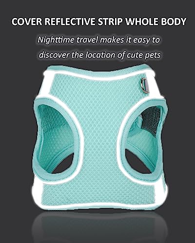 Solmoony Dog Harness for Small Medium Large Dogs No Pull, Puppy and Leash Set, Dogs, Step in Harness, mesh Harness. (Bule, S)