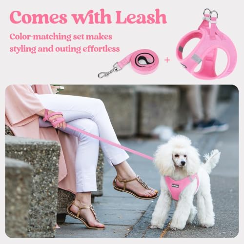 rabbitgoo Dog Harness Small Sized and Leash Set, Step in Soft Light Puppy Vest, Breathable Mesh Pet Harness, Reflective fo...