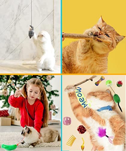Fashion's Talk Cat Toys 50 Pcs for Indoor Cats,Interactive Door Hanging Mice Feather Toy Cat Spring Toy Cat Wand Catnip Cr...