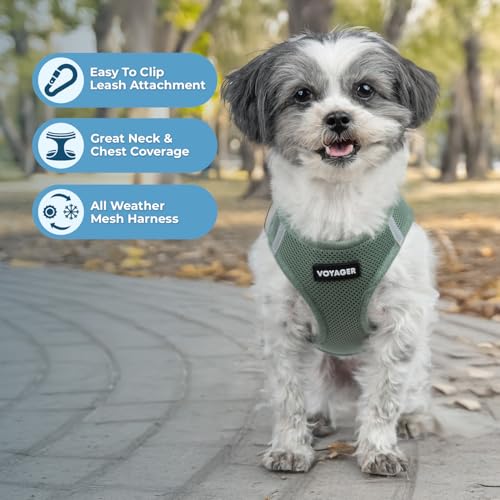 Best Pet Supplies Voyager Step-in Air Harness - All Weather Mesh, Reflective, No Pull Harness for Dogs, Cats - Secure with...