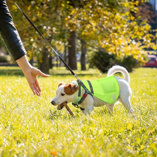 Aliceset 2 Pcs Dog Cooling Vest with 4 Recyclable Ice Pack Summer Outdoor Dog Cooling Harness Pet Adjustable Jacket Coole...