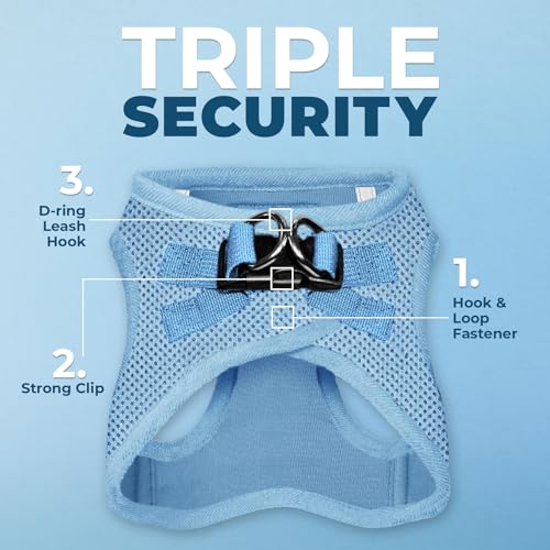 Best Pet Supplies Voyager Step-in Air All Weather Mesh Harness and Reflective Dog 5ft Leash Combo with Neoprene Handle, fo...