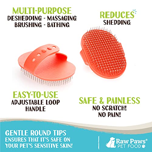 Raw Paws Grooming Brush, 1 ct - Hand-Held Rubber Tipped Pin Brush for Dogs & Cats - Deshedding Dogs with Short Hair & Long...