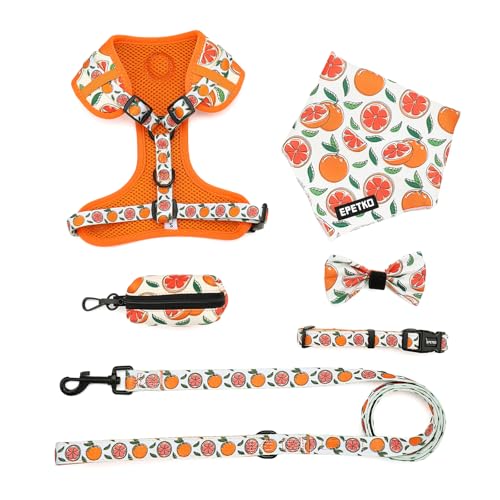 EPETKO Small Dog Harness and Leash Set of 6, No Pull Soft Lightweight Mesh Puppy Harness， Adjustable Cute Floral Pattern P...
