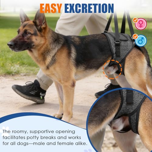 SlowTon Dog Lift Harness - Adjustable Dog Sling for Medium Large Dogs, Hind Leg Support to Help Rehabilitate, Soft Padded ...