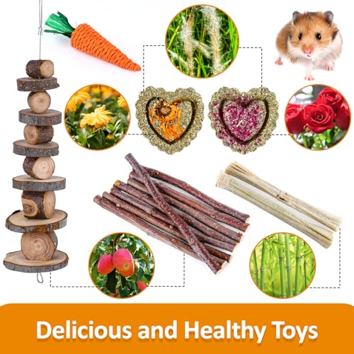 VESPRO Hamster Toys Set, Guinea Pig Toys Small Animal Chewing Toy and Rat Cage Accessories, Chinchillas, Gerbils, Rats, Ra...