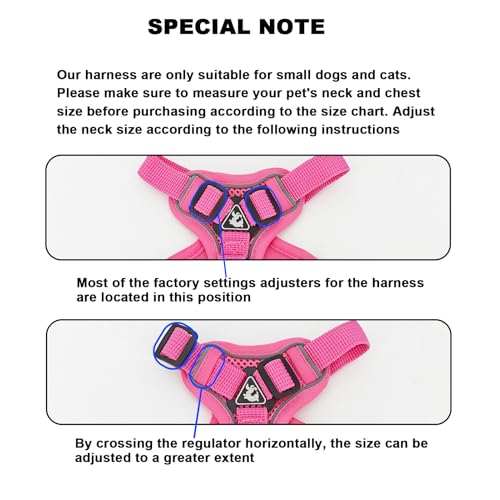 SOLMOONY Small Dog Harness,Soft Mesh Puppy Harness and Leash Set,No Escape Cat Harnesses for Training Walking,Reflective A...