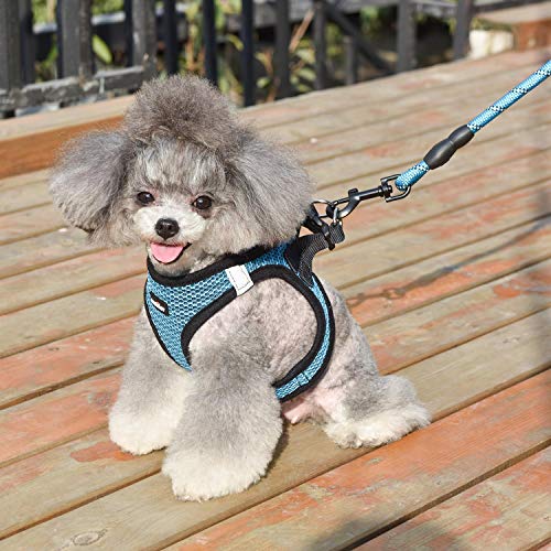 matilor Dog Harness Step-in Breathable Puppy Cat Dog Vest Harnesses for Small Medium Dogs Blue