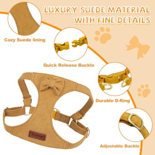 Tewiwap No Pull Small Dog Harness and Leash Set, Adjustable Puppy Harness for Extra Small XS XXS Girl Dogs, Soft Suede No ...