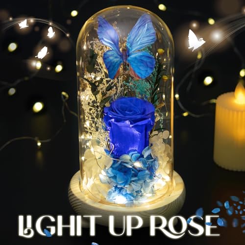 Forever Flowers Preserved Roses with Light in Glass Dome, Romantic Gifts for Mom Wife Girlfriend Grandma, Blue Flower for ...