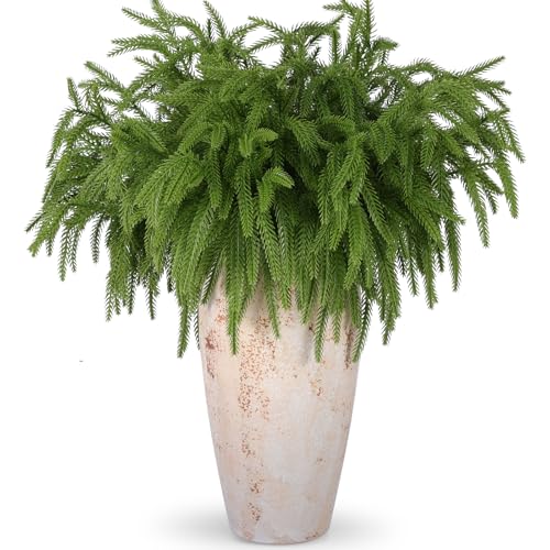 Rowfad 24 Pcs Artificial Norfolk Pine Branches, Faux Norfolk Pine Stems DIY Crafts Faux Christmas Norfolk Pine Branches fo...