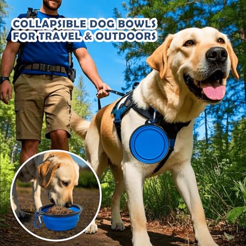 QUIBBLICK 24 Inch Portable Collapsible Dog Crate, Travel Pet Crate with Soft Warm Blanket and Foldable Bowl for Small Dogs...