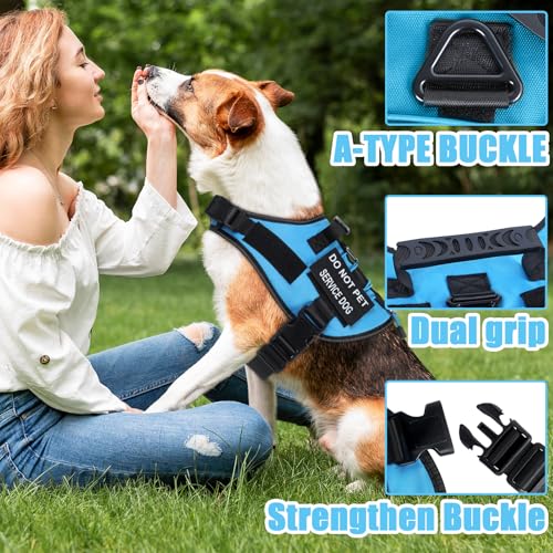 No Pull Dog Harness Small Medium Sized Dog, Service Dog Harness and Leash Set with 4 Patches, Adjustable Easy Walk Dogs Ha...
