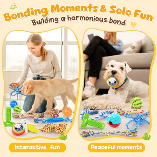KIPRITII 25 Pack Dog Toys Set – Ideal for Teething, Entertainment & Interactive Play, Includes Puppy Toys, Rope Toys, Trea...