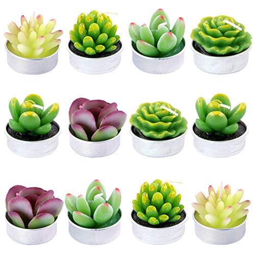 Swpeet 12Pcs Decorative Succulent Cactus Tealight Candles Kit, Cute Smokeless Succulent Plants Perfect for Candles Festiva...