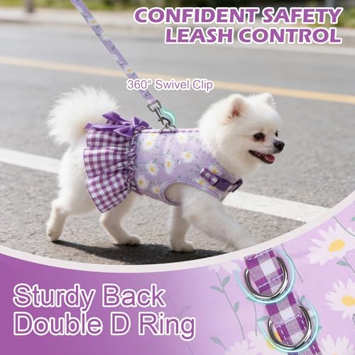 EXPAWLORER Dog Harness Small Medium Sized Dogs, Daisy Dog Dress Bowknot Harness and Leash Set, No Choke No Pull Soft Mesh ...