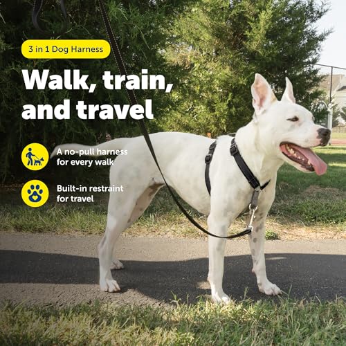 PetSafe 3-in-1 Harness - Comfortable Easy-Walk Dog Chest Harness with Front Leash Attachment to Reduce Pulling, Choking & ...