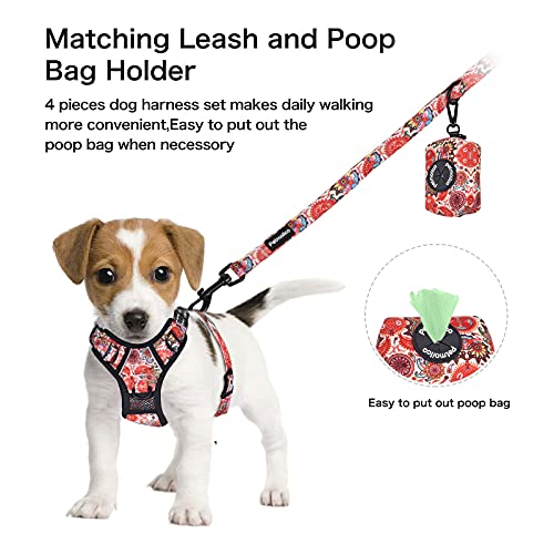 Petmolico No Pull Dog Harness Set with Leash Attachment Easy Control Handle Reflective Harness Vest Small Breed, Puppy Ves...