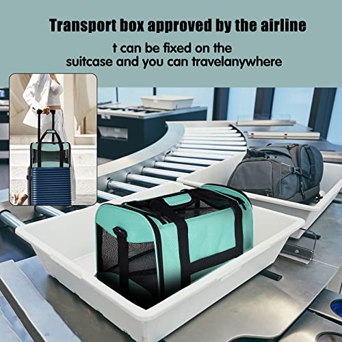 Cat Carrying Case Pet Dog Carrier Soft-Sided Cat Bag Airline Approved, Pet Travel Carrier Up to 15 Lbs, Collapsible Cats C...