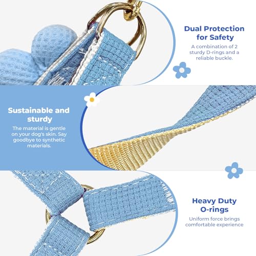 PETCARE Cute Cat Harness and Leash Set, Blue Flower Cat Walking Harness with Bow Tie Cats Leash, Easy Walk Lightweight Ste...