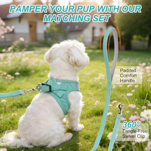 BEAUTYZOO Waffle Dog Harness Small Sized, No Pull Small Dog Harness and Leash Set, All Weather Soft Mesh Light Harness for...