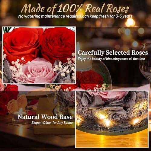 ENERLEAF Preserved Red Real Rose in Glass with Scented Candles–Forever Flower Romantic Anniversary Mothers Day Christmas B...