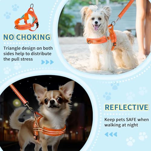 Lukovee No Pull Dog Harness and Leash Set, Soft Padded Small Dog Harness, Neck & Chest Adjustable Reflective Vest Puppy Ha...