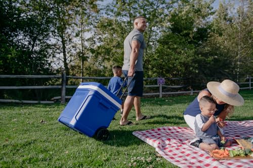 Igloo Hard Coolers | Profile II Series | Insulated Ice Chests | Roller Cooler with Wheels