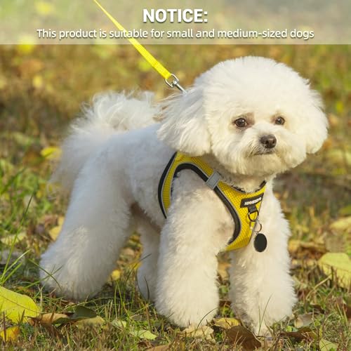 Dog Harness and Leash Set, Dog Harness for Dogs No Pull, No-Chock Step-in Reflective Breathable Lightweight Easy Walk Vest...