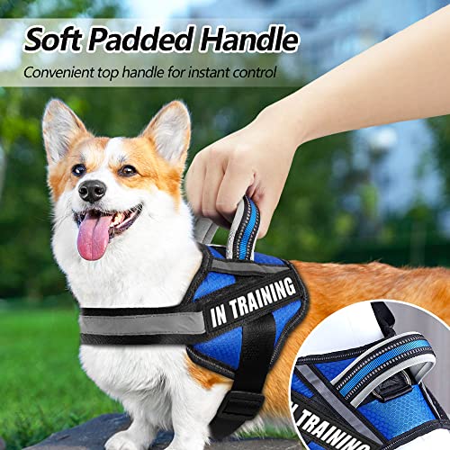Dog Vest Harness and Patches Set, Animire in Training Service Dog Harness with 10 Dog Patches, Reflective Dog Vest with Ha...