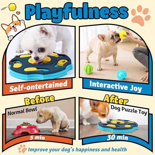 Forfon 9 Pack All-Around Dog Puzzle Toy Set -Mentally Stimulating Dog Enrichment Toys for Small to Medium Smart Dogs, Incl...