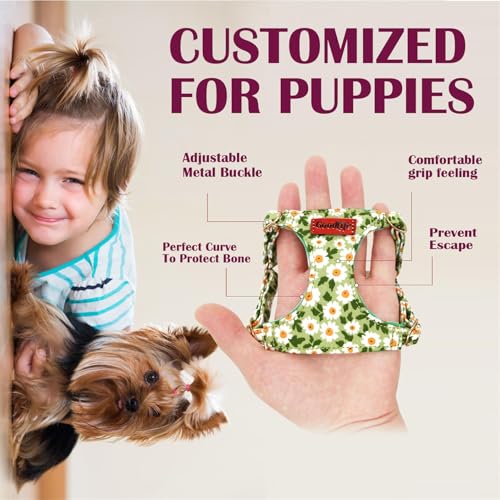 OaaXbbECco No Pull Floral Pattern Puppy Harness,Soft Adjustable Dog Harness Vest and Dog Leash Set No Choke Escape Proof (...