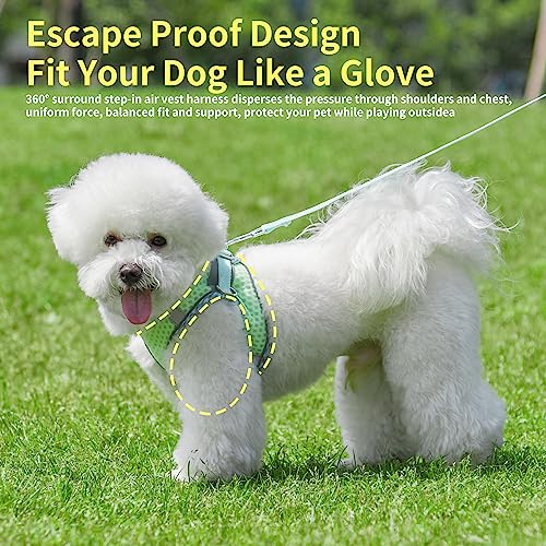 JOYPAWS Step in Dog Harness and Leash Set, No Pull Escape Proof Vest Harness with Soft Diamond Mesh and Reflective Bands, ...