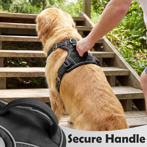 Funfox Dog Harness Medium Sized Dog, Vertical Handle Easy Control, No Pull Pet Vest Adjustable with 2 Leash Clips, Soft Ma...