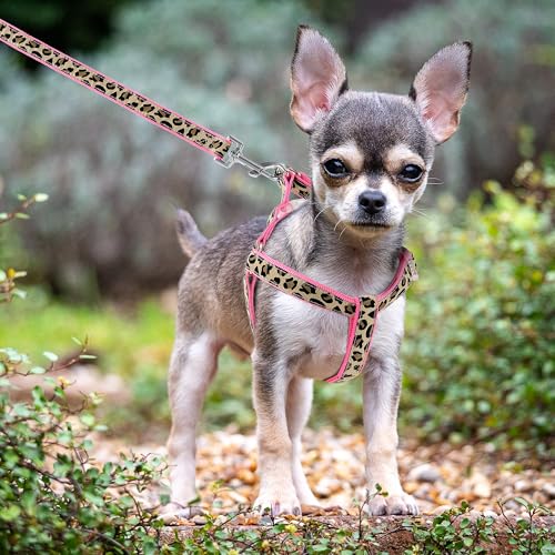 Mile High Life Leopard Dog Harness Collar Leash Set, Adjustable No Pull Dog Halter Harness for Small Breed Dogs, Easy Cont...