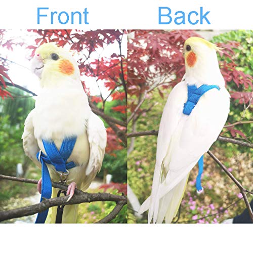 VANFAVORI Adjustable Bird Harness with 80 Inch Leash, Outdoor Flying Training Rope Kit for Bird Parrots S Size Weight 75-1...