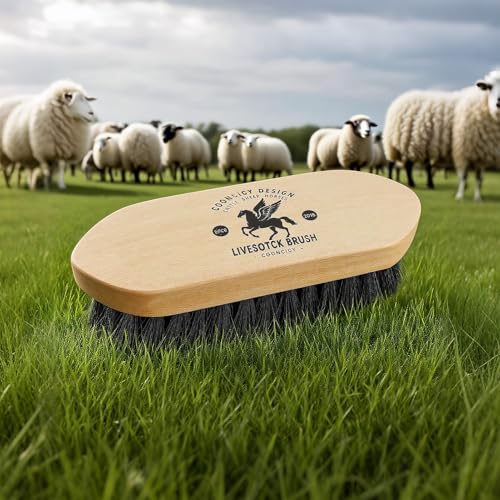 Cooncicy Medium Livestock Brush for Goat, Cattle, Cow - Horse Brushes for Grooming - Premium Horse Brush for Show, Goat Su...