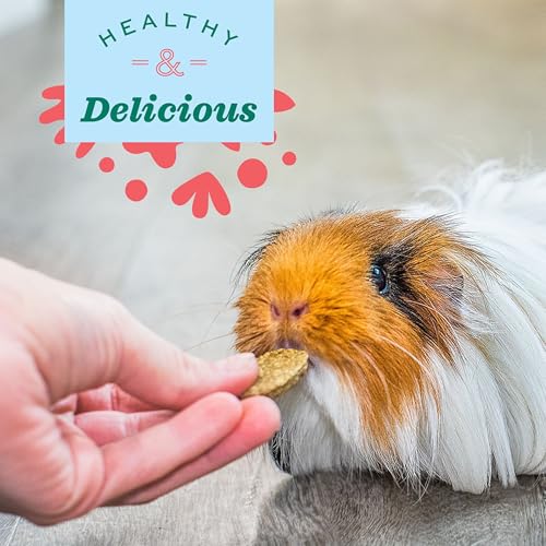 Oxbow Natural Science Vitamin C Supplement, Vitamin C & High-Fiber Timothy Hay, Guinea Pig Items, Made in the USA, Small P...