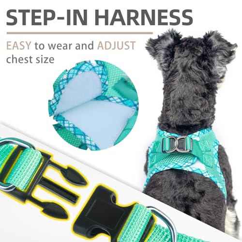PUPTECK Dog Harness and Leash Set for Small Medium Dogs No Pull Step-in Soft Mesh Puppy Cat Vest Harnesses Reflective at N...