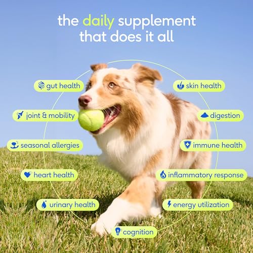 Native Pet The Daily Dog Vitamins & Supplements - 11-in-1 Multivitamin Powder for Dogs - Supports Whole Body Health, Diges...