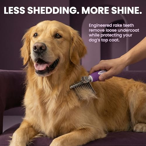 Poodle Dematting Fur Rake Comb Brush for Dogs and Cats - Long 2.5" Steel Safety Blades Metal Comb for Detangling Matted or...