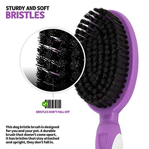 Soft Bristle Dog Brush For Short Haired Cats Or Dogs - Firm Bristles To Remove Dust, Dirt, And Loose Fur - Hook And Rubber...