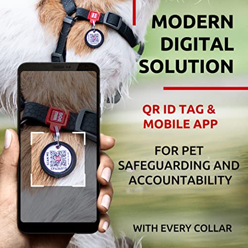 WAUDOG Waterproof Dog Harness and Leash 6 Ft Set - Adjustable, Heavy Duty with Durable Metal Clasp and QR Dog Tag