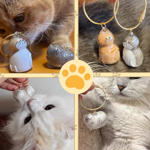 floofelove 6PCS Cat Fur Keepsake Storage Bottle - Pet Memorial Gifts for Cats Transparent Cat Hair Keychain Collection Dog...