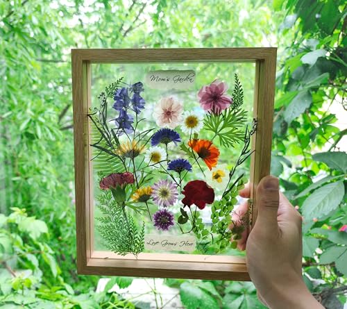 Twodays Birth Flower Mother's Day Craft Kit for Mom/Grandma - 33 Real Pressed Flowers Art DIY Set, With 8x10 Double Glass ...