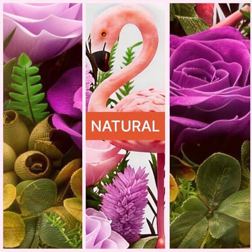 HUACHIPLUS Forever Gifts for Mom: Big Flower Big Love-Mothers Day Flowers for Mom Wife Grandma-Eternal Flower with Flaming...