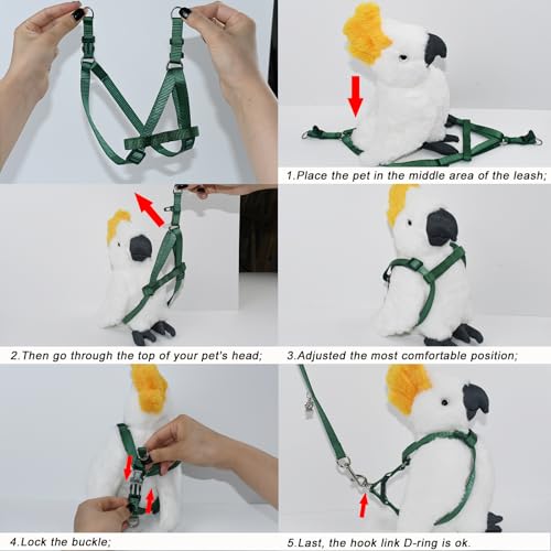 ASOCEA Adjustable Bird Harness and Leash for Yellow Naped Amazons Galah Cockatoos Small to Medium Breed Parrots Fits Birds...