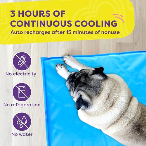 Hertzko Dog Mat & Chew Toy Set – Gel Pad with Innovative Gel Technology – Portable, Non-Toxic Pet Mat for Small to Medium ...