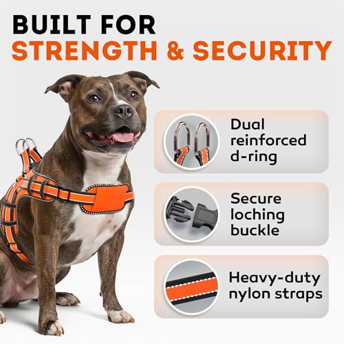 Dog Harness for Small Dogs Back D-Ring Control No Choking Pressure-Free Chest Design Comfortable Padded Adjustable Reflect...