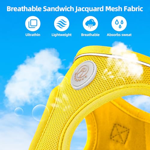 HIHANHAN Soft Mesh Dog Harness and Leash Set, No Pull Puppy Harness and Leash Set, Reflective Step in Harness for Small Me...